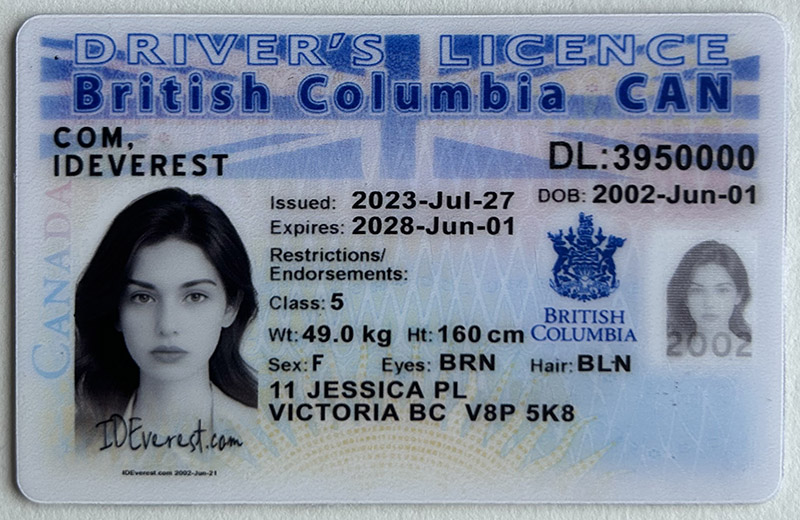 British Columbia Fake ID Experience